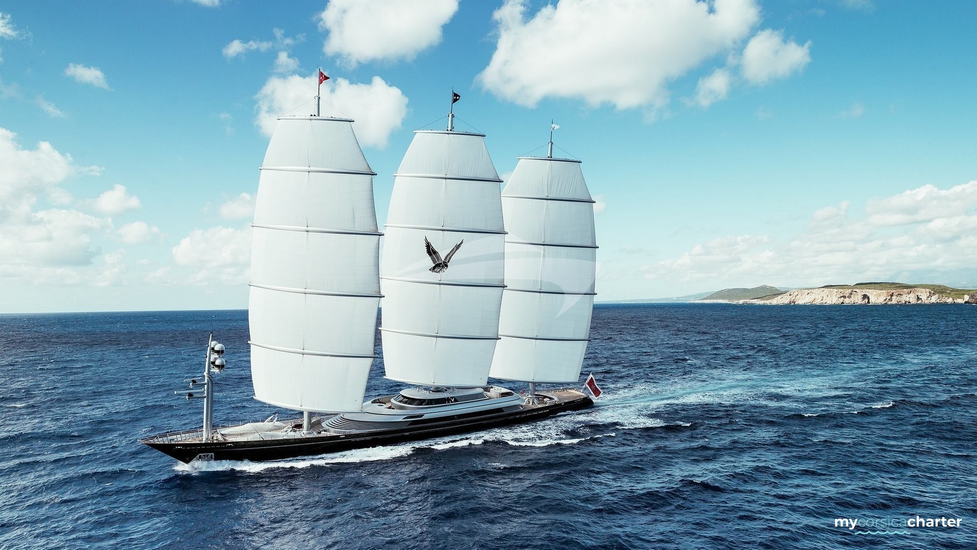 MALTESE FALCON