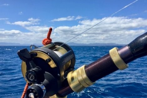 Review img # 52 of the yacht ELVIS MAGIC
